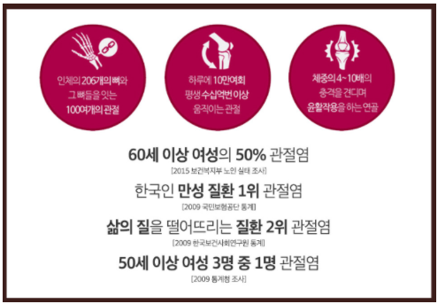 관절/연골 건강정보